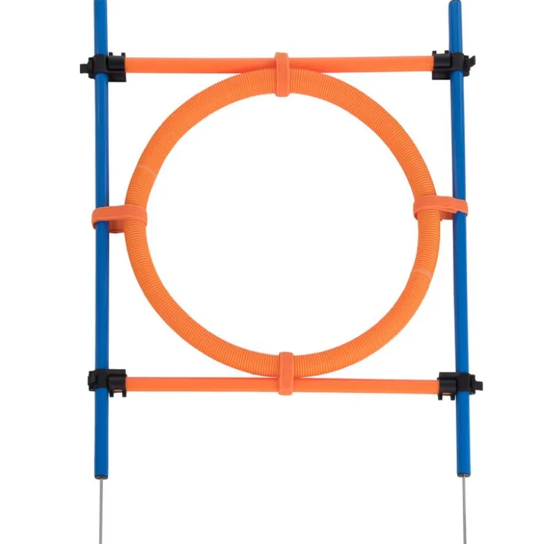 Agility Fun & Sport -agilityrata