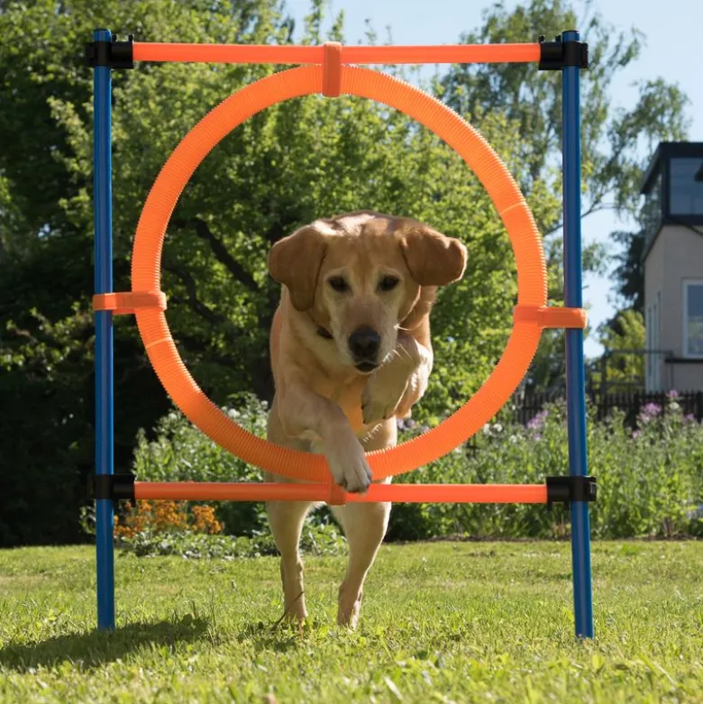 Agility Fun & Sport -agilityrata