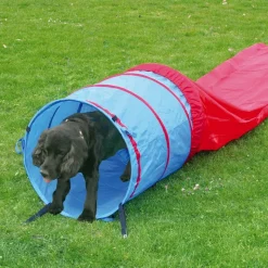 Agility Fun & Sport -agilityrata