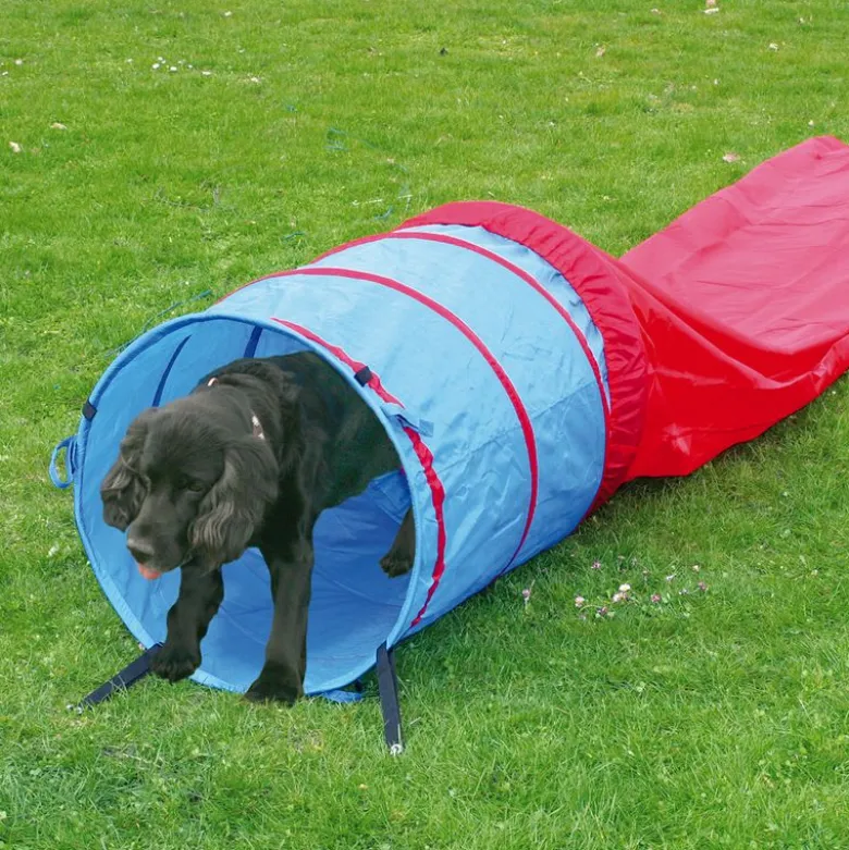 Agility Fun & Sport -agilityrata