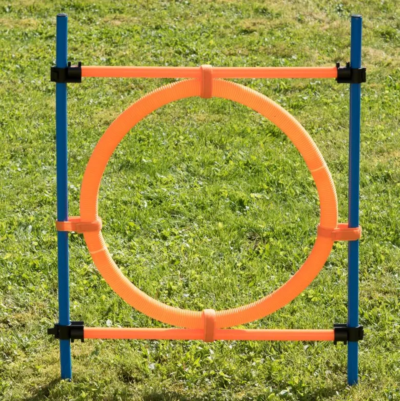 Agility Fun & Sport -agilityrata