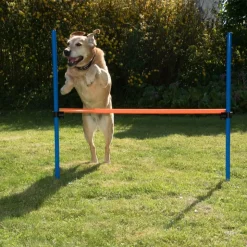 Agility Fun & Sport -aitaeste