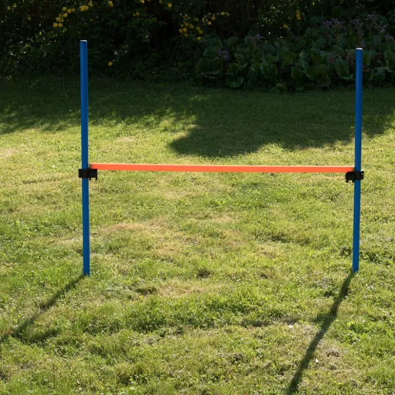 Agility Fun & Sport -aitaeste