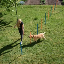 Agility Fun & Sport -pujottelueste