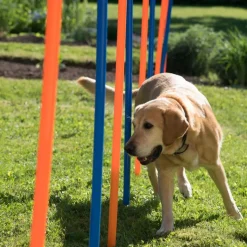Agility Fun & Sport -pujottelueste