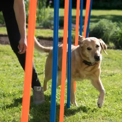 Agility Fun & Sport -pujottelueste