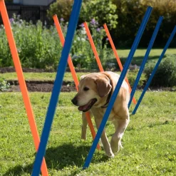 Agility Fun & Sport -pujottelueste