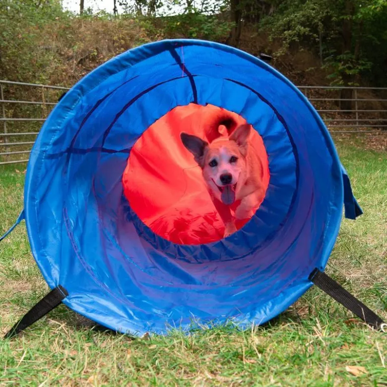 Agility Fun & Sport -pussieste