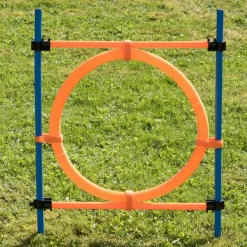 Agility Fun & Sport -rengaseste