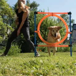 Agility Fun & Sport -rengaseste