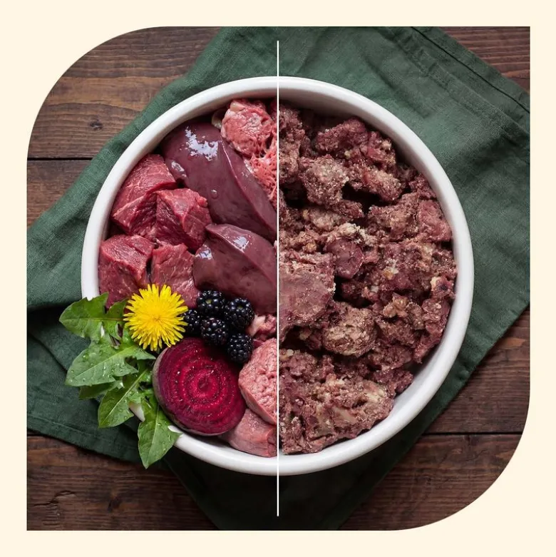 Animonda GranCarno Adult Superfoods -lajitelma