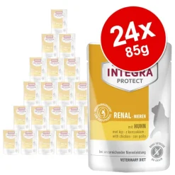 Animonda Integra Protect Adult - munuaiset 24 x 85 g