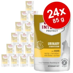 Animonda Integra Protect Adult - virtsakivet 24 x 85 g