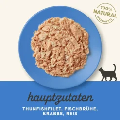Applaws Cat Natural liemessä -säästöpakkaus 24 x 70 g