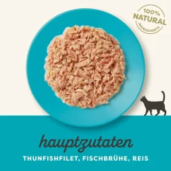 Applaws Cat Natural liemessä -säästöpakkaus 24 x 70 g