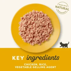 Applaws Kitten hyytelössä 6 x 70 g