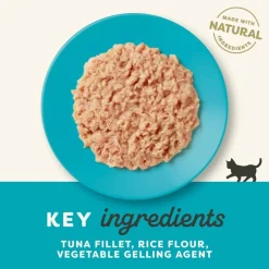 Applaws Kitten hyytelössä 6 x 70 g