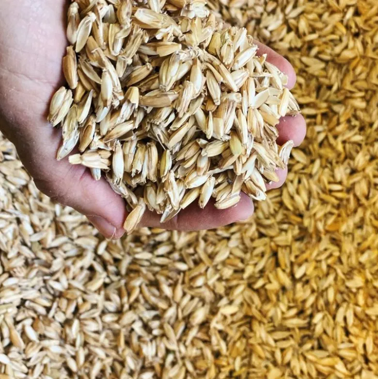 Aumüller Pedro-toukka kissan leikkityyny