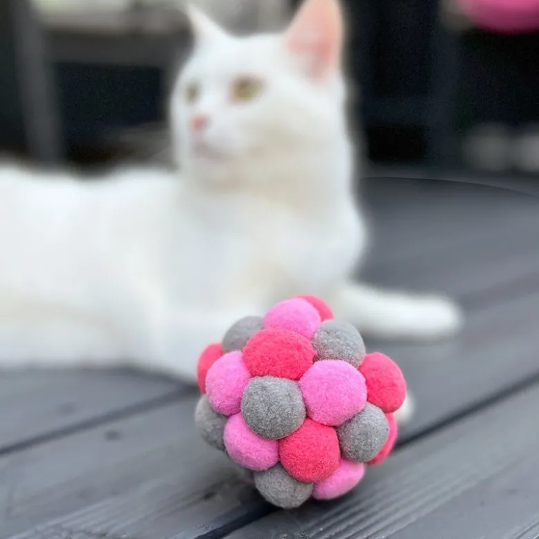 Aumüller Pink Plush -kissanlelu