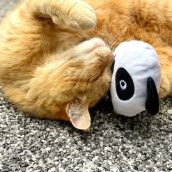 Aumüller Qi-panda