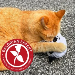 Aumüller Qi-panda