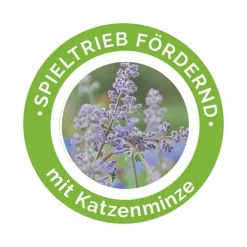 Aumüller Silvervine-hammashoitolelu, 2 lintua