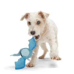 Bark Brrrtha ‑lohikäärmelelu