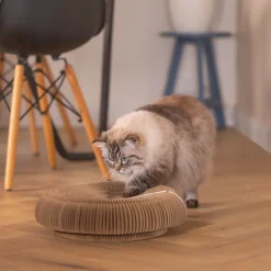 beeztees Siep raapimislelu
