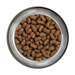 Belcando Junior Grain Free