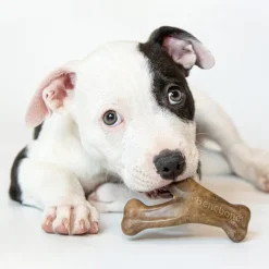 Benebone pentusetti - Wishbone & Dental Chew