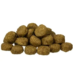 bosch Junior Lamb & Rice