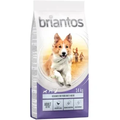 Briantos Adult Active