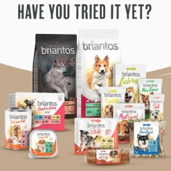 Briantos Adult Active
