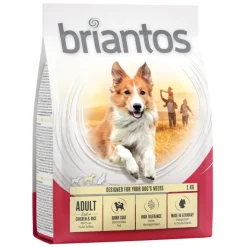 Briantos Adult kana & riisi