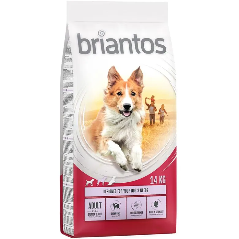 Briantos Adult lohi & riisi