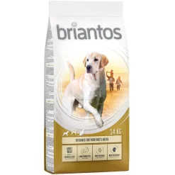 Briantos Adult Maxi
