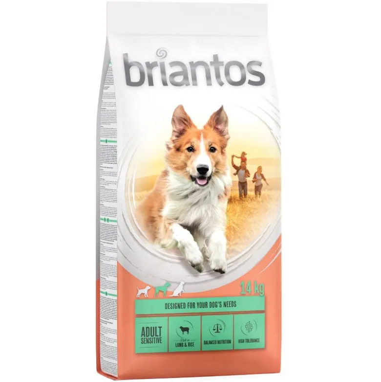 Briantos Adult Sensitive lammas & riisi