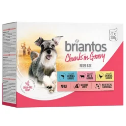 Briantos Chunks in Gravy 12 x 100 g