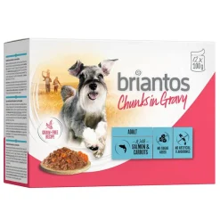 Briantos Chunks in Gravy 12 x 100 g