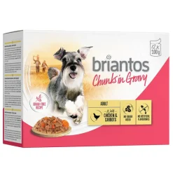 Briantos Chunks in Gravy 12 x 100 g