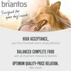 Briantos Junior kana & peruna - viljaton