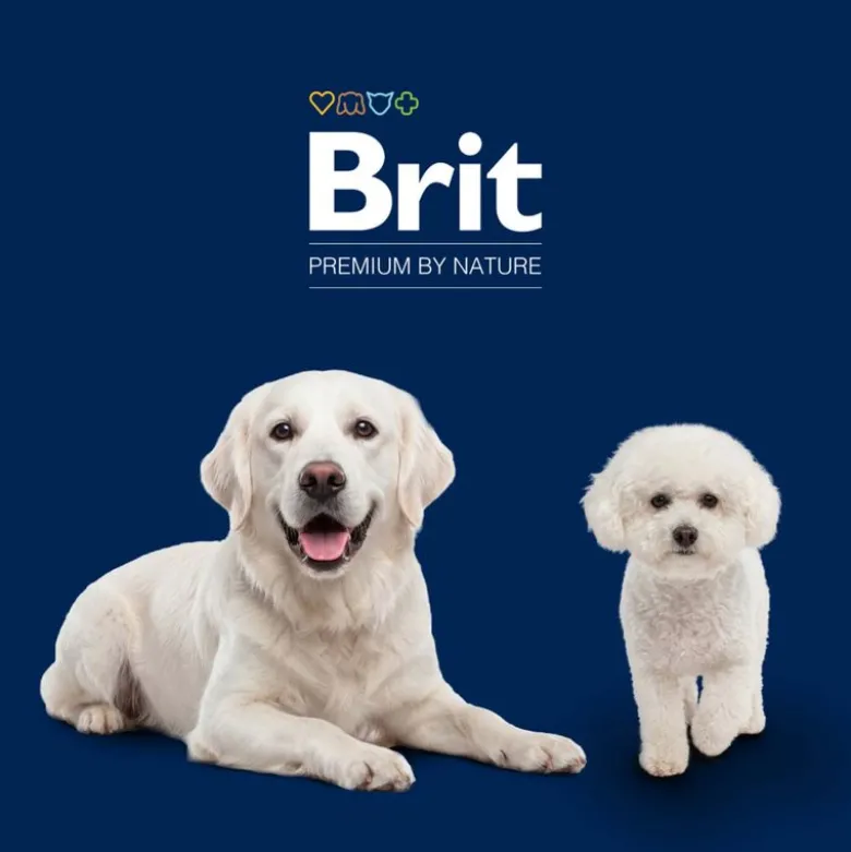 Brit Premium by Nature Adult XL kana