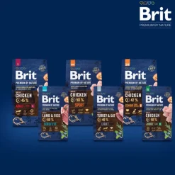 Brit Premium by Nature Sensitive karitsa