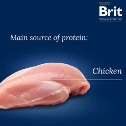 Brit Premium Junior M