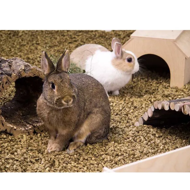 Bunny Bedding Cosy