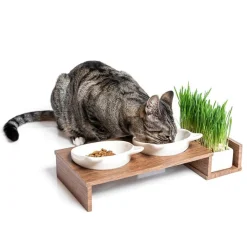 CanadianCat Company Cat Diner -ruokintapiste