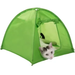 Cat Camp -kissanteltta