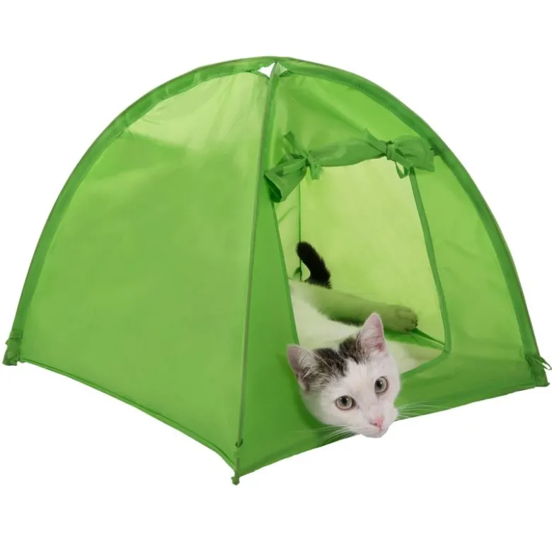 Cat Camp -kissanteltta