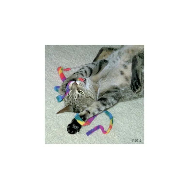 Cat Charmer
