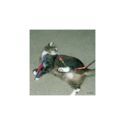 Cat Charmer